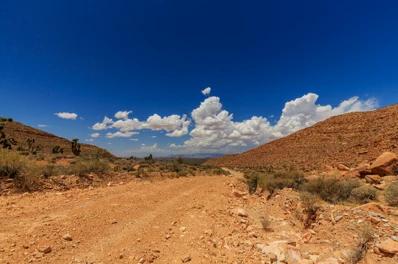 Dirt road in desert near Littlefield, Arizona