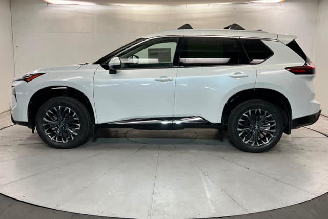 No Picture Available