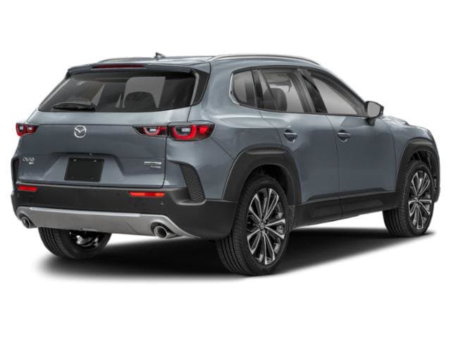 No Picture Available